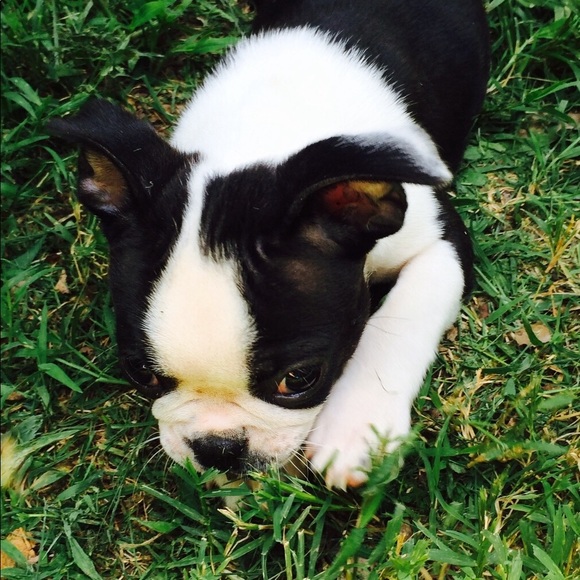 Meet your Posher, Lisa - Picture 1 of 1